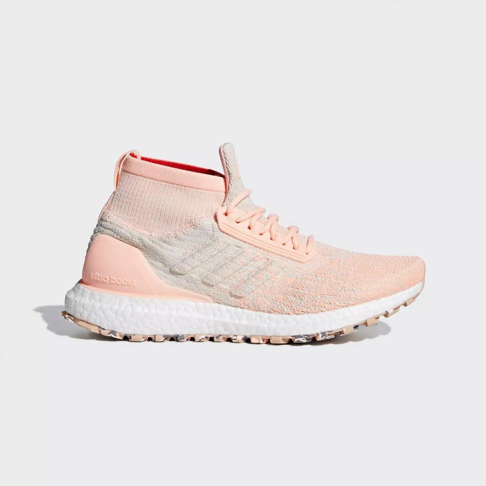 Adidas Ultraboost All Terrain Tenis Para Correr Rosas Para Mujer (MX-26585)